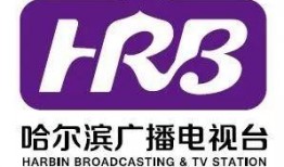 哈尔滨爆料集锦最新消息,聚焦城市动态与热点事件