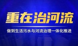 鼎丰集团爆料事件视频最新,事件最新进展与内幕曝光