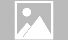 深圳打工人最新爆料信息,生活不易，奋斗心声引关注