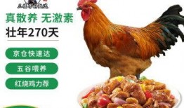 鸡的最新爆料,揭秘最新鸡类爆料背后的秘密