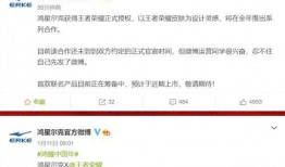 王者新瓜最新爆料,揭秘最新爆料背后的秘密与真相