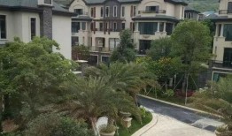 蛇姐最新爆料网址视频,最新爆料网址视频大揭秘！