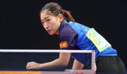 刘诗雯最新爆料,揭秘职业生涯背后的心酸与辉煌