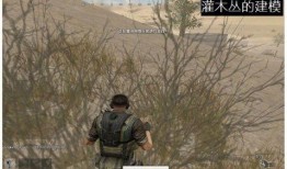 端游吃鸡最新爆料内容,全新模式、武器升级，带你领略极致竞技盛宴！