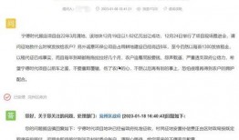 宁德最新爆料,揭秘新能源汽车产业新动态！”