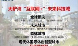 深圳最新政府爆料,聚焦城市发展与民生改善举措
